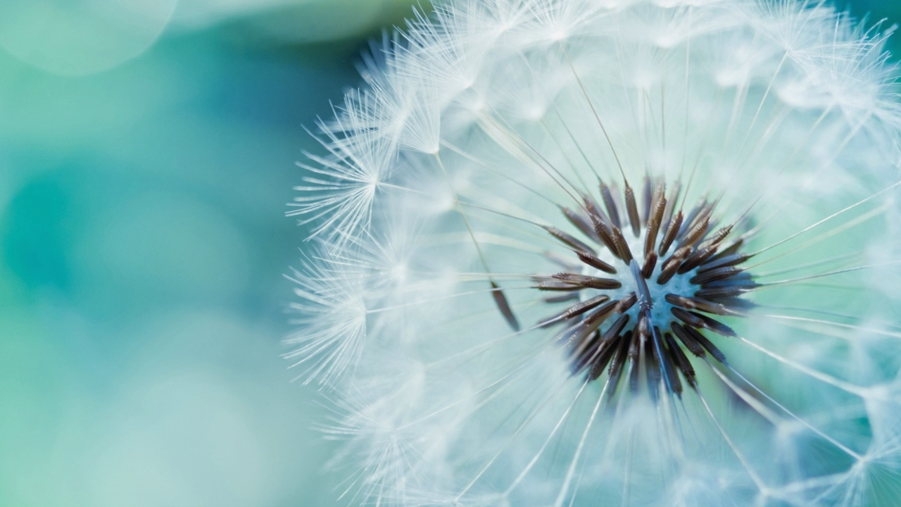 ProntuÃ¡rio EletrÃ´nico