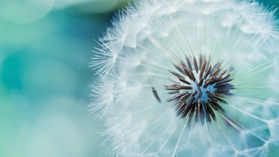 Prontuário Eletrônico