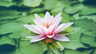 Acesse mais um vídeo da série meditação