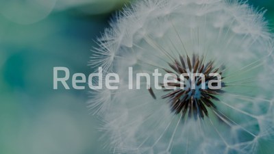 ri-dandelion-prontuario-eletronico.jpg