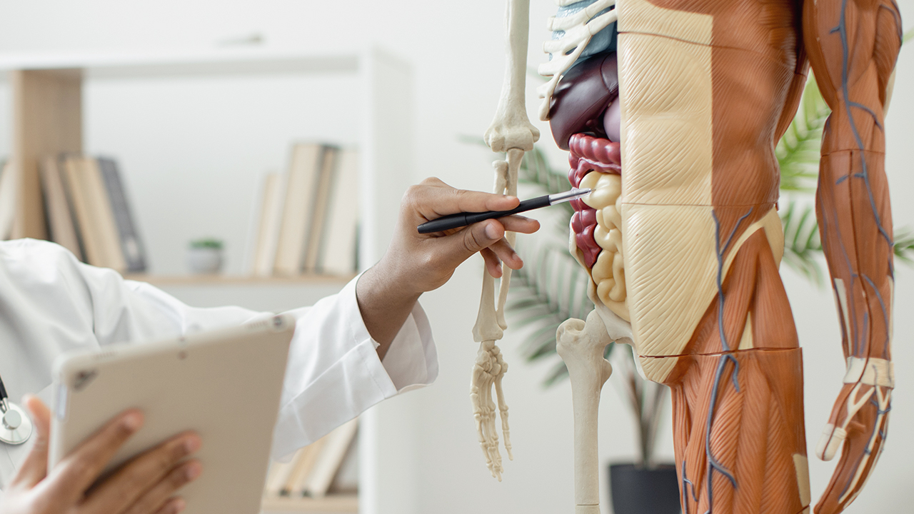 CÃ¢ncer de Intestino