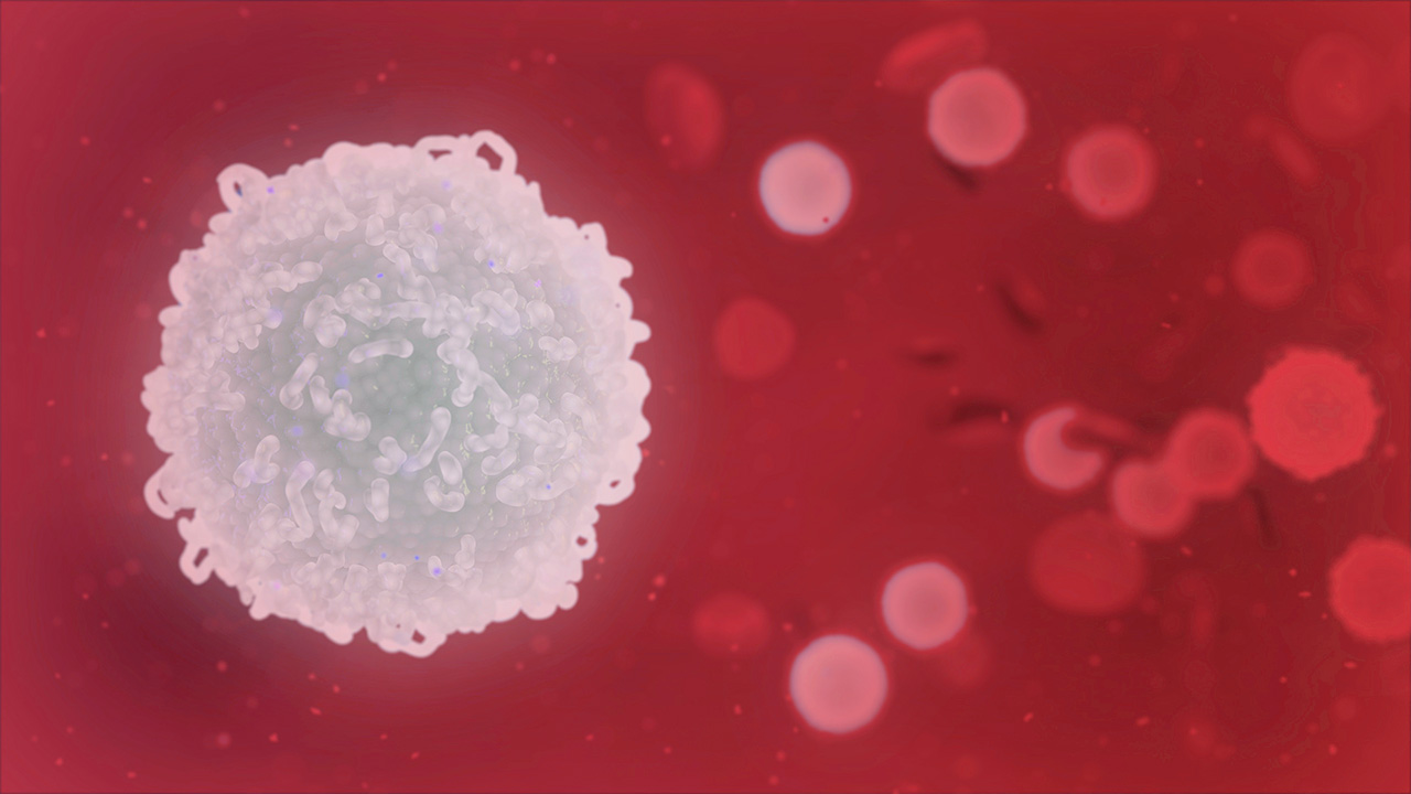 Como fortalecer o seu sistema imunolÃ³gico