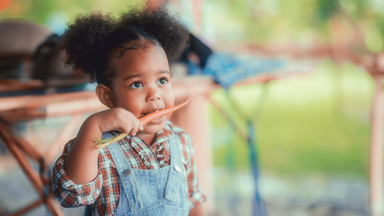 Curso de AlimentaÃ§Ã£o Infantil â Seletividade Alimentar