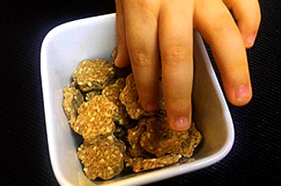 Biscoitinhos Integrais