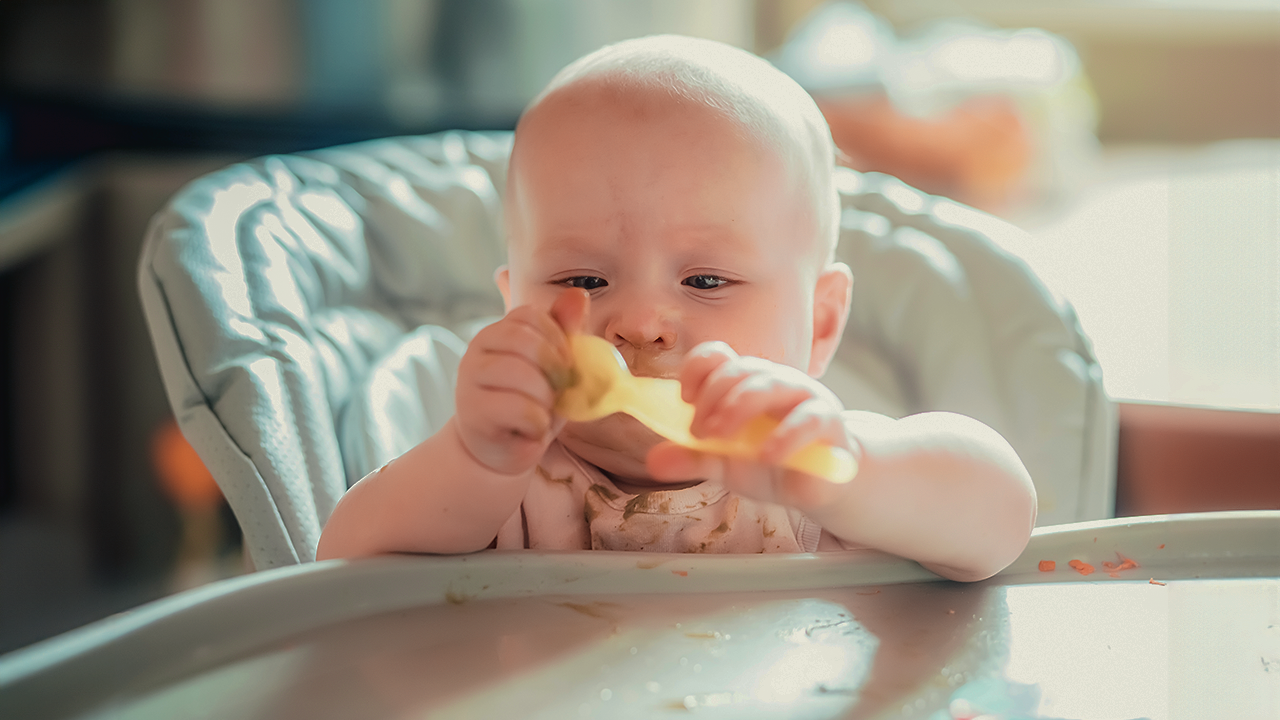 OrientaÃ§Ãµes Nutricionais para BebÃªs de 6 meses a 1 ano